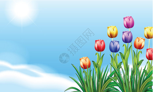 周冬雨鲜花花园植物副词杂交种蓝色冬雨橙子紫色场景草原插画