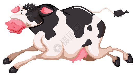 牛剪贴画可爱牛牛奶牛卡通片飞跃微笑牛奶生物海报跳跃木板墙纸设计图片