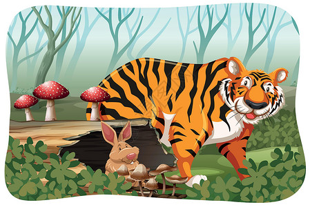 丛林中的老虎植物剪贴动物树木森林艺术哺乳动物食肉风景夹子背景图片