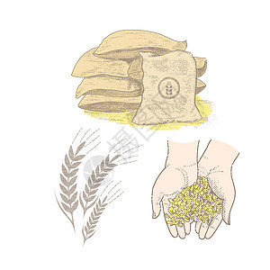 谷物袋复古套装谷物和小麦袋插画