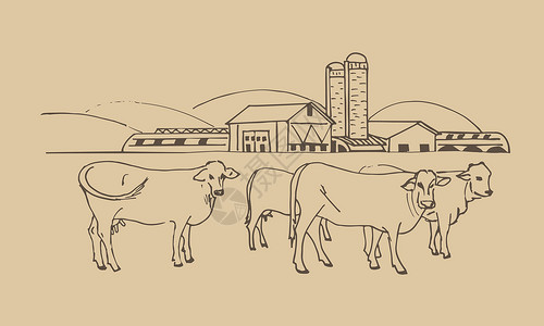 农家牛肉串与牛的农业 farmagri 业务插画