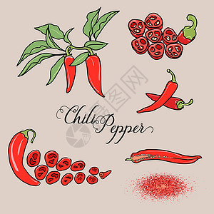 辣椒矢量 se剪贴红色设计烹饪草图香料平面饮食背景图片