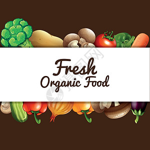 海报设计与新鲜蔬菜洋葱饮食茄子艺术绿色营养夹子低热量黄瓜插图背景图片