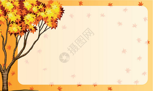 与树和橙色离开的秋天场面高清图片