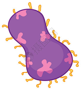 白色的粉红色细菌插图颠簸生物单细胞艺术病菌疾病细胞生物学科学图片