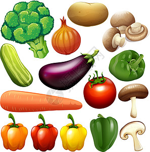 花椰菜蘑菇不同种类的新鲜蔬菜美食艺术插图辣椒团体夹子土豆菌类黄瓜绘画插画