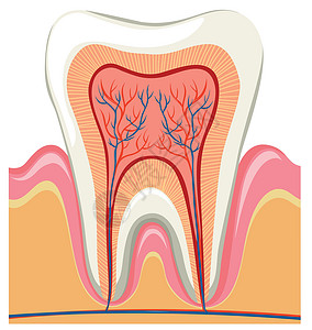 一颗牙在其中设计图片