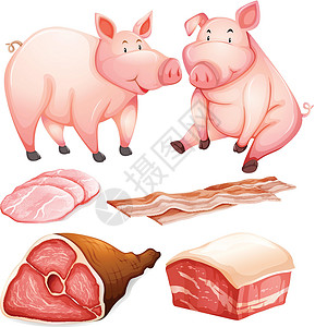 猪五花肉猪及猪产品插画