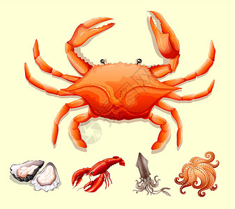 螃蟹剁生不同种类的海鲜动物乌贼收藏牡蛎食物绘画生物夹子龙虾烹饪插画