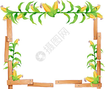 木制框与新鲜 cor 的边框设计插画