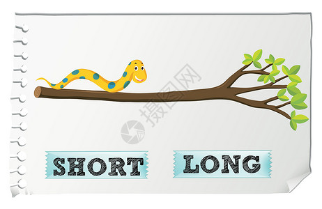 蛇阵相反的形容词短和 lon插图教育剪裁捕食者动物微笑树叶热带小路措辞设计图片