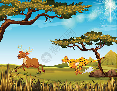 追逐猎物老虎在田野里追鹿插画