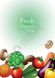 海报设计与新鲜蔬菜横幅茄子低热量洋葱黄瓜绿色艺术土豆饮食插图背景图片
