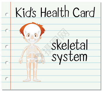 骨骼系统健康卡高清图片