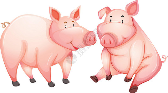 开心农场体验券两只肥猪开心的脸插画