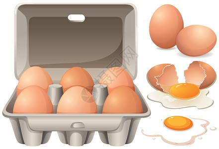鸡蛋产品生鸡蛋和 yol插画