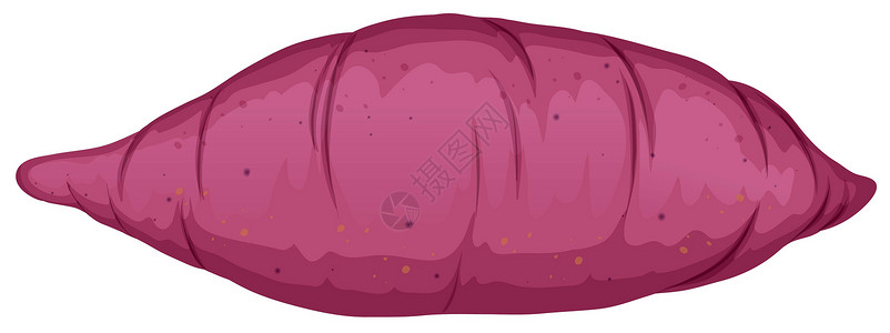 紫色甘薯白色背景上的烤红薯插画