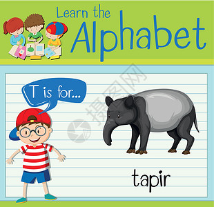 貘抽认卡字母 T 代表 tapi生物动物演讲工作插图白色绘画活动教育野生动物设计图片