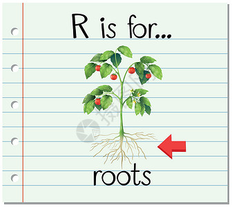 斯卡根抽认卡字母 R 代表根插图幼儿园写作夹子闪光纸板拼写字体刻字植物插画