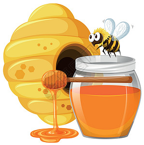 飞行蜂蜜蜜蜂和蜂蜜在 ja热带糖浆艺术生物飞行蜂窝动物昆虫插图漏洞插画
