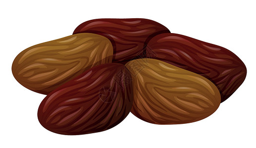 干果坚果白色背景的干枯水果夹子艺术绘画坚果剪裁种子杏仁李子食物小路插画