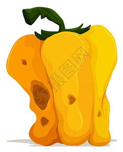 白色背景上腐烂的黄色甜椒插画