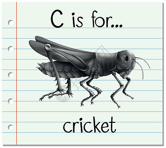 抽认卡字母 C 代表 crike图片