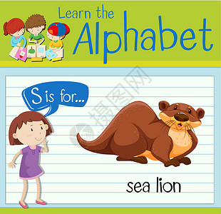 抽认卡字母 S 代表海狮野生动物学校海报学习活动绘画孩子们插图小号海狸设计图片