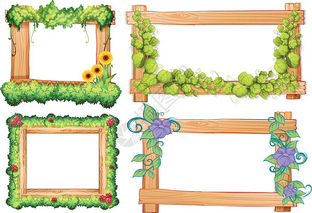木相框与藤和花的木框架插画