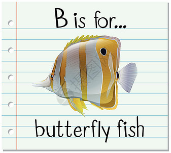 蝴蝶鱼抽认卡字母 B 是蝴蝶 fis游泳写作孩子们刻字闪光卡片字体动物幼儿园纸板设计图片