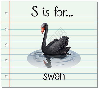 岸上黑天鹅抽认卡字母 S 代表 swa绘画阅读字体天鹅游泳拼写写作野生动物插图艺术设计图片
