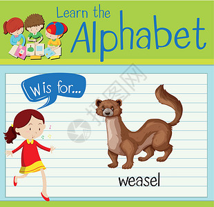 抽认卡字母 W 是为了方便卡片孩子海报插图教育孩子们哺乳动物绘画白色学习背景图片