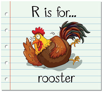 鸡手写毛笔字抽认卡字母 R 代表公鸡字体母鸡卡通片农场刻字插图闪光纸板阅读动物设计图片