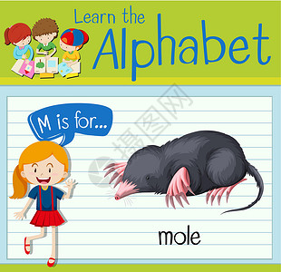动物代表抽认卡字母 M 代表摩尔工作绘画海报学习夹子活动教育卡片孩子艺术设计图片