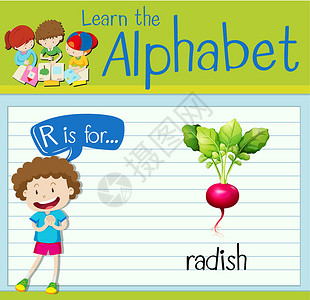 收萝卜孩子抽认卡字母 R 代表 radis工作萝卜绘画蔬菜演讲孩子插图活动卡片教育设计图片