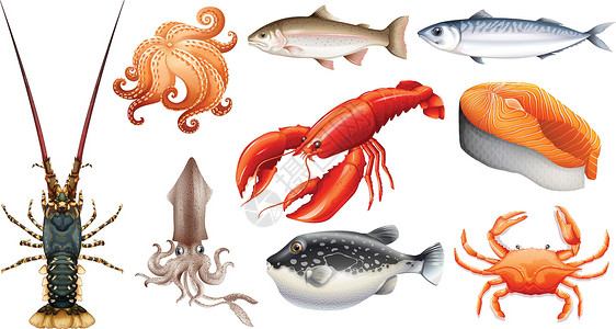 不同种类的海鲜插图情调生物哺乳动物龙虾夹子收藏异国绘画剪裁背景图片