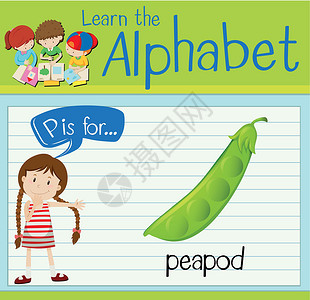 绿豌豆抽认卡字母 P 代表 peapo艺术学习工作绘画孩子绿色孩子们学校夹子活动设计图片