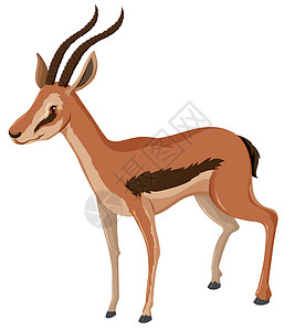 母鹿长角的羚羊插画