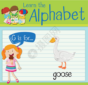 野鹅小龙年轻的动物抽认卡字母 G 代表 goos活动学校生物海报卡片工作绘画白色插图学习插画