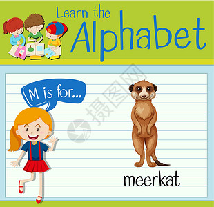 动物与孩子抽认卡字母 M 是猫鼬活动教育绿色海报演讲学校工作艺术生物白色设计图片