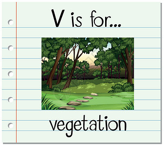 蒂朱卡森林抽认卡字母 V 是 vegetatio刻字场地纸板艺术幼儿园植被字体教育公园场景设计图片