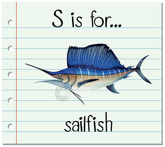 旗鱼字母 S 代表 sailfis设计图片