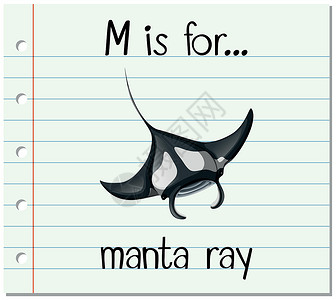 黄尾鱼抽认卡字母 M 代表蝠鲼设计图片
