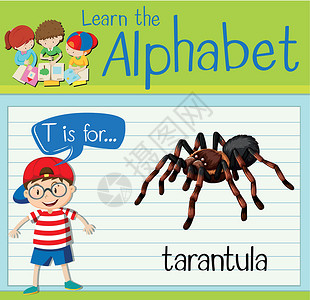 捕昆虫的孩子抽认卡字母 T 代表狼蛛动物学校卡片生物艺术夹子插图教育演讲工作设计图片