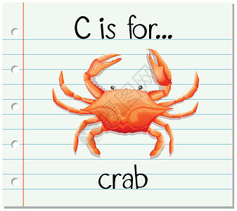 螃蟹卡抽认卡字母 C 代表 cra插画