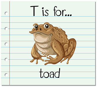 DIY读书卡抽认卡字母 T 代表 toa蟾蜍动物绘画教育野生动物两栖夹子拼写闪光艺术插画