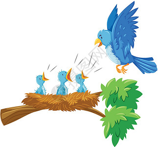 树枝上的母鸟和幼鸟插画