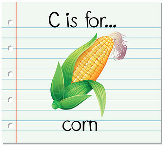 烤玉米字体抽认卡字母 c 代表 cor设计图片