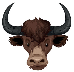 野牛红在白色背景上的水牛头插画