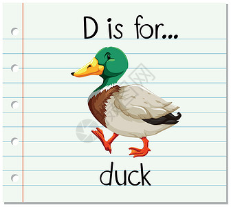 鸭子和羽毛抽认卡字母 D 代表 duc动物拼写荒野翅膀教育阅读农场字体闪光鸭子设计图片